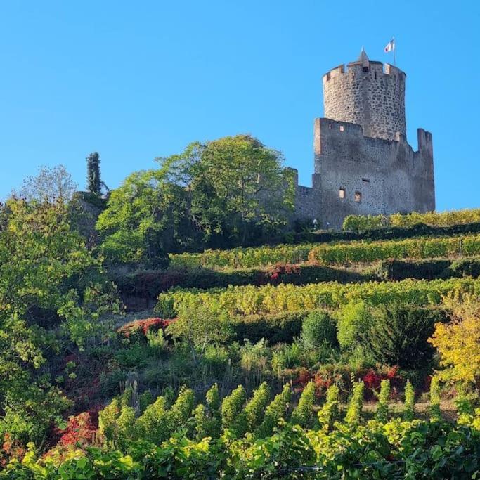 La Jolie Maison Bleue, Au Coeur De L'Alsace Kaysersberg-Vignoble Ngoại thất bức ảnh