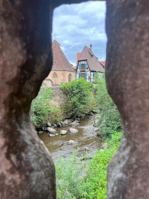 La Jolie Maison Bleue, Au Coeur De L'Alsace Kaysersberg-Vignoble Ngoại thất bức ảnh