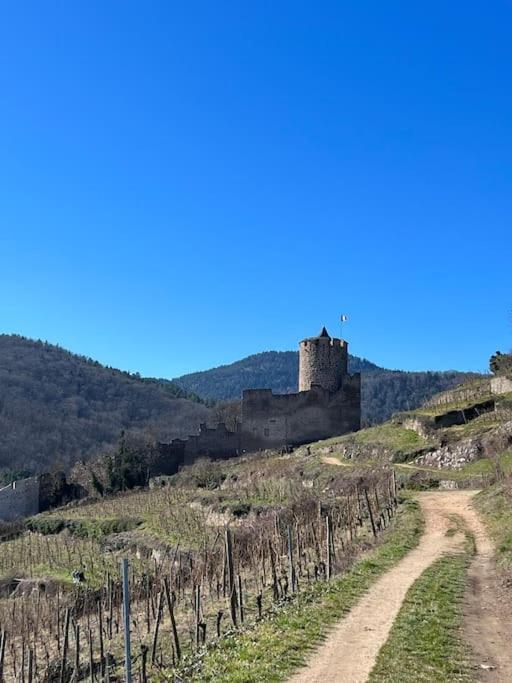 La Jolie Maison Bleue, Au Coeur De L'Alsace Kaysersberg-Vignoble Ngoại thất bức ảnh